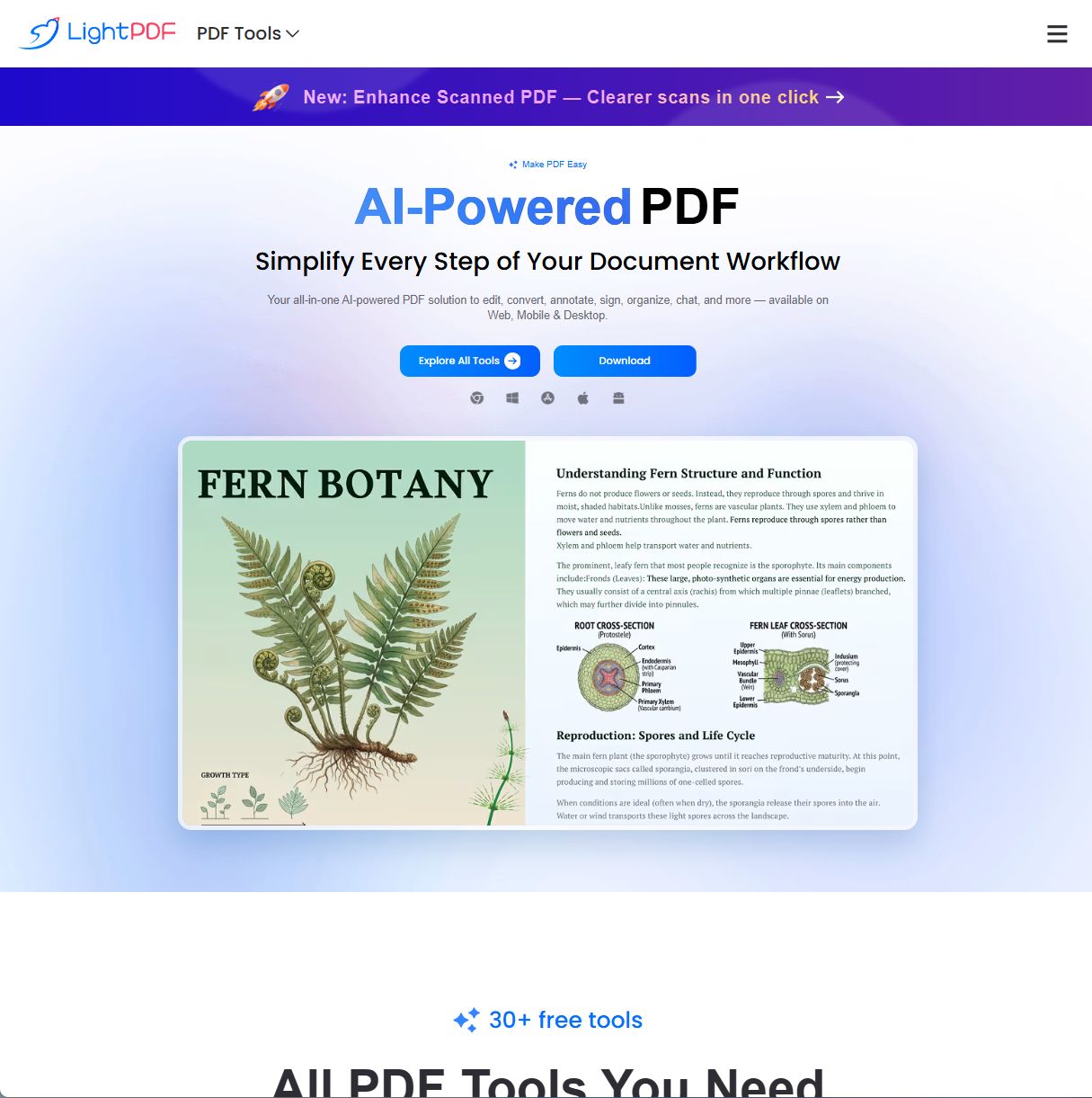 LightPDF