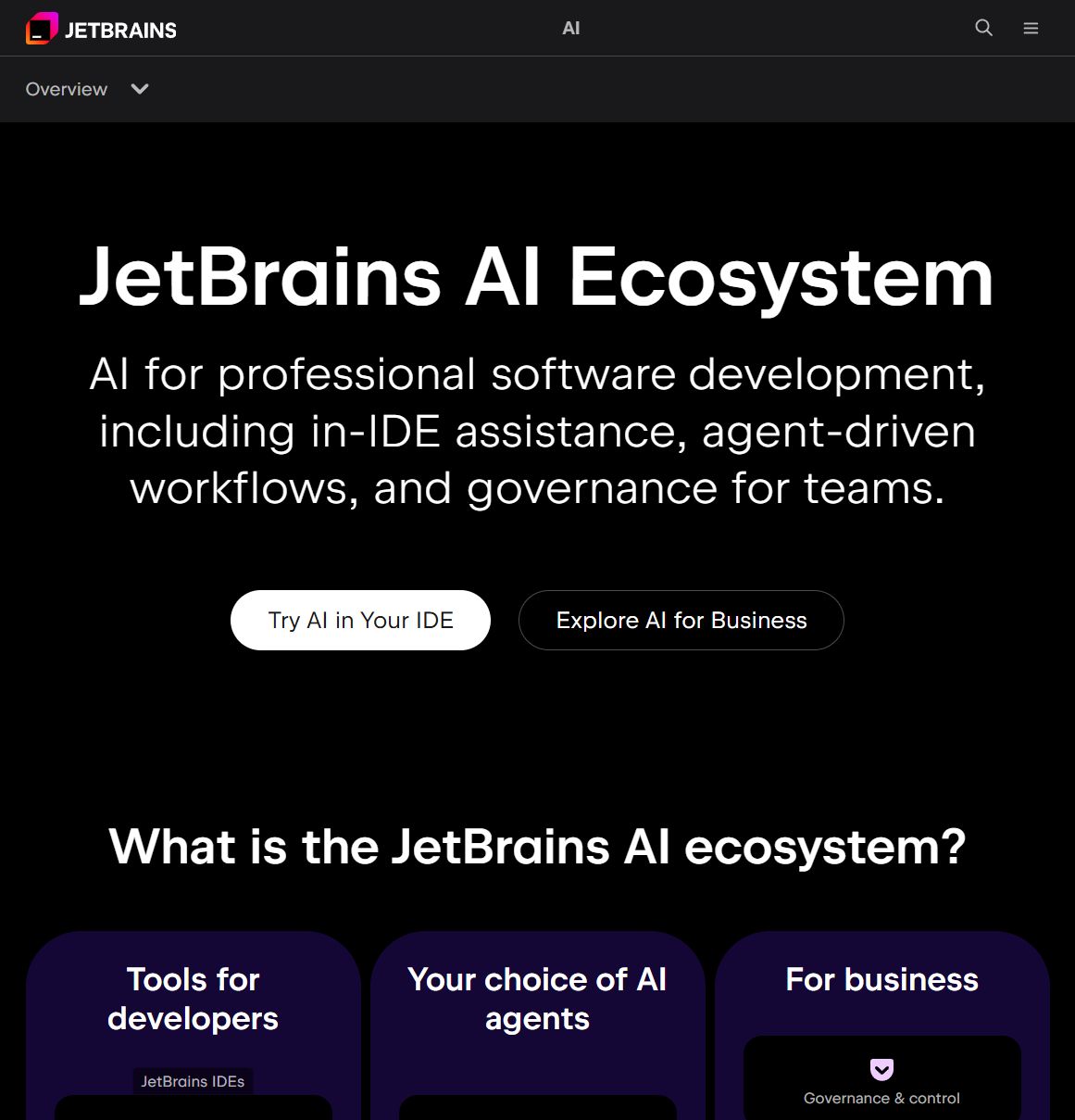 JetBrains AI Assistant