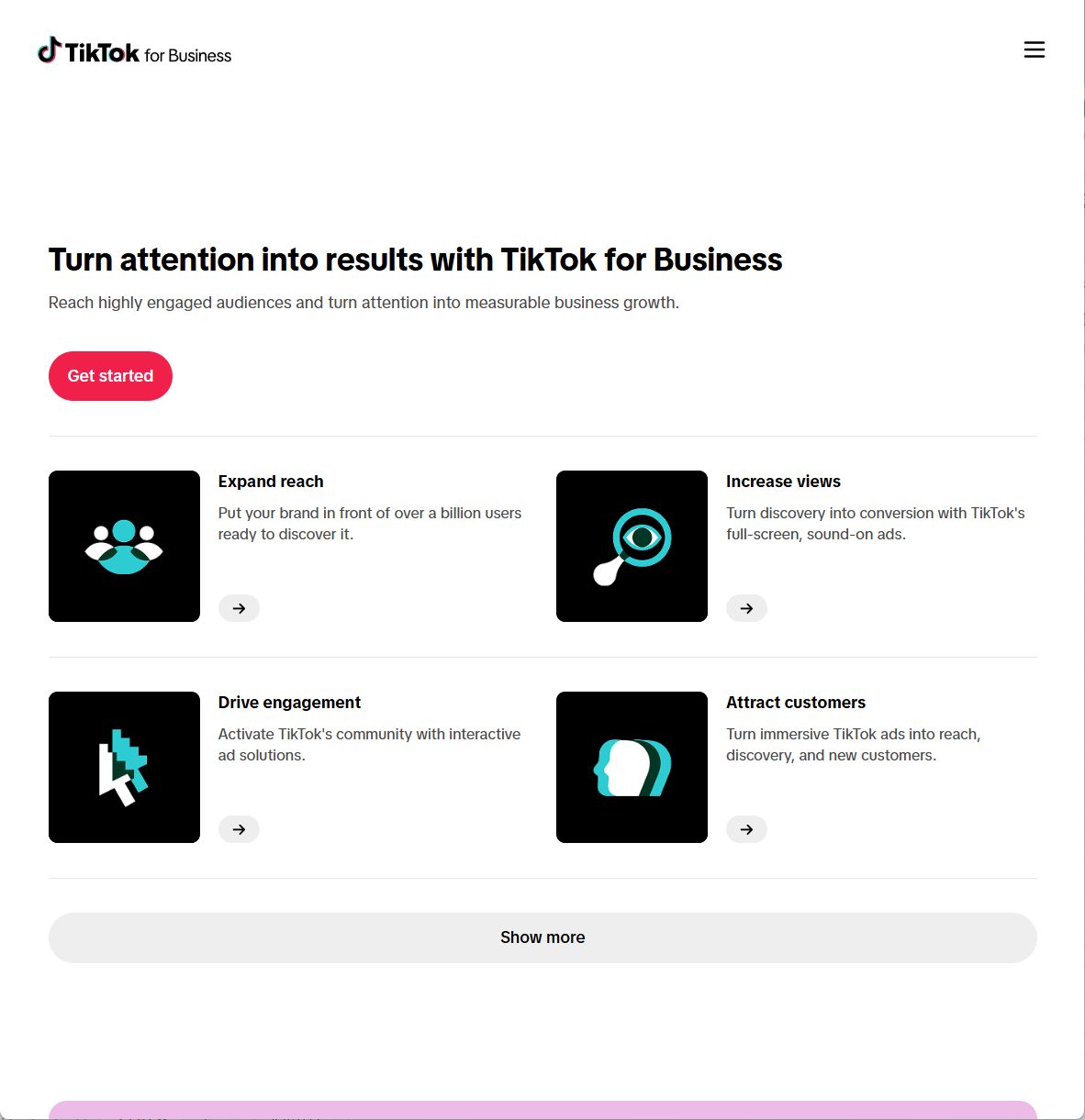 TikTok Ads Manager