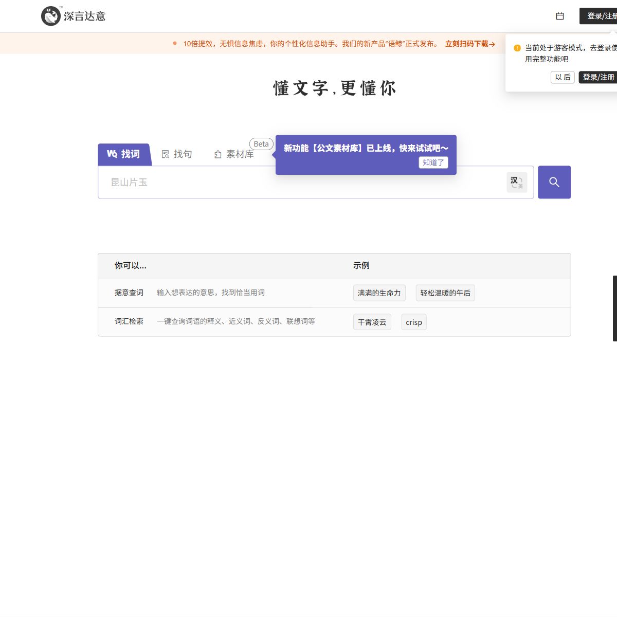 深言达意