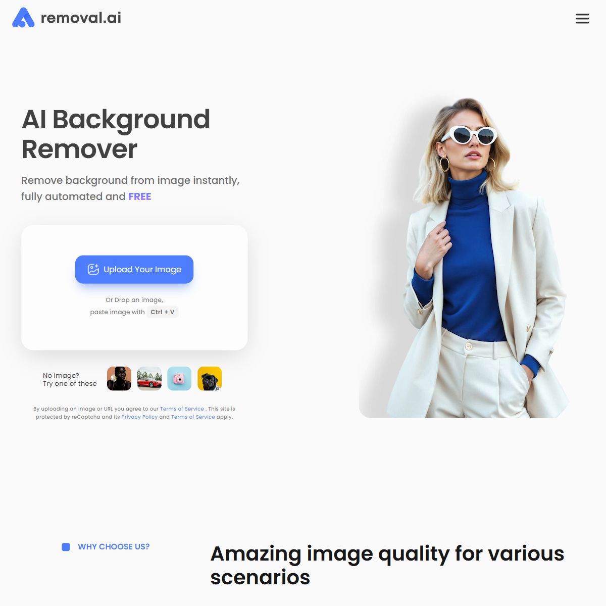 Removal.AI