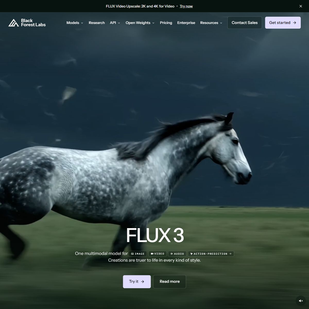 blackforestlabs.ai
